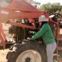 Agforce operate tractor and machinery courses