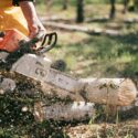 Agforce training chainsaw training